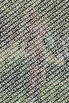 AlysonDavila - Escort lady Munich 4