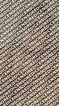 Janeen - Escort lady Rochester NY 2