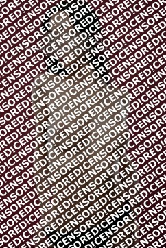 Indra - Escort lady Munich 3