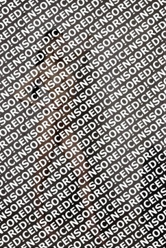 Indra - Escort lady Munich 6