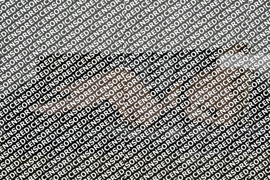 Pauline - Escort lady Bremen 4