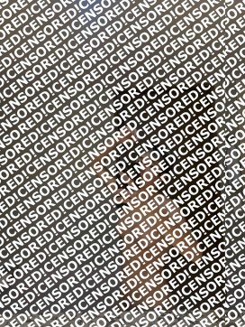 Aisha Kitty - Escort lady Berlin 10