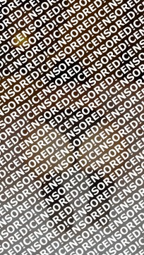 Crme da la Crme - Escort lady Houston 8