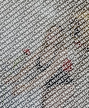 Roxanne - Escort lady Paris 2