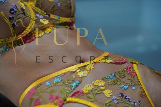 Lupa Escort - Escort lady Cologne 9