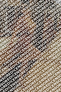 Evelyn - Escort lady Munich 2