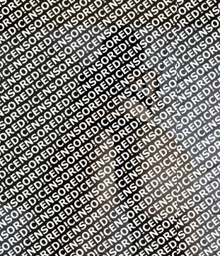 Amira24 - Escort lady Hanover 2