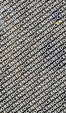 Reese McClain - Escort lady Houston 5