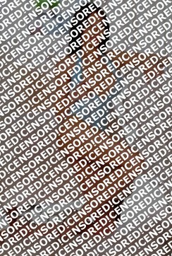 Sonya - Escort lady Amsterdam 4