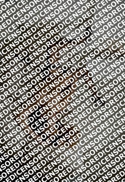 Cindy - Escort lady Amsterdam 2