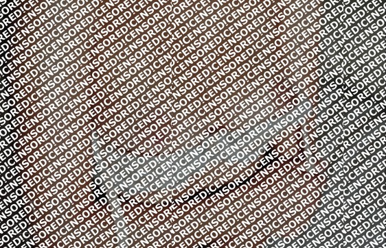 Julie - Escort lady Amsterdam 2