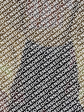 Bambie - Escort gay Québecois 2