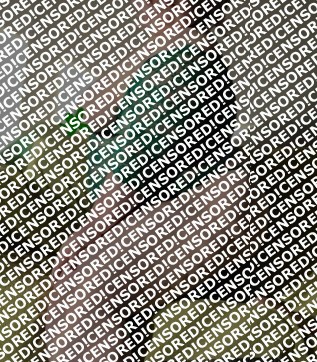 Miss Artois - Escort lady Ottawa 4