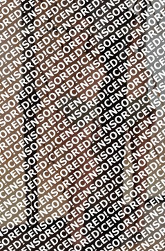 Celine - Escort lady Munich 6