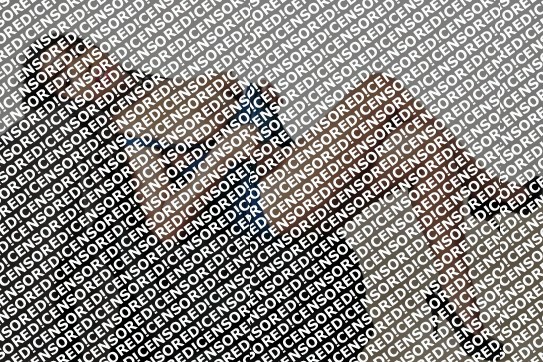 Raylin Monique - Escort lady Scottsdale 2