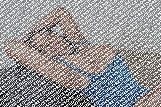 Raylin Monique - Escort lady Scottsdale 3