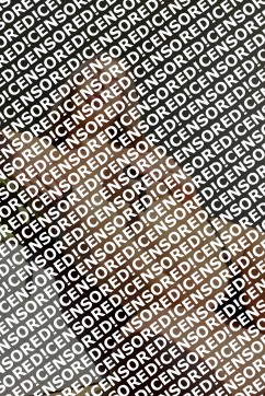 Maya - Escort lady Madrid 3