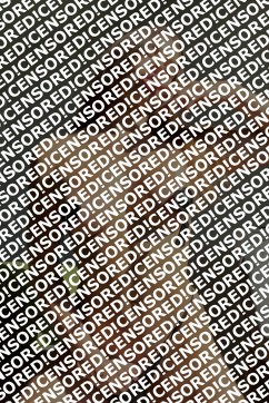 Maya - Escort lady Madrid 8