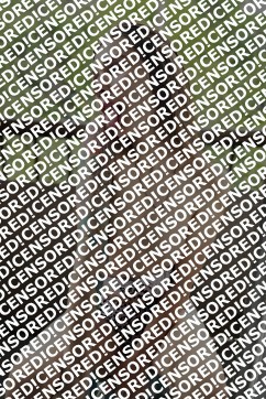 Amina - Escort lady Berlin 2