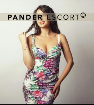 Alice - Escort lady Hamburg 3