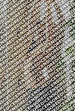 JASMINE - Escort lady The Hague 2