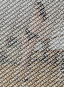 SONIA - Escort lady The Hague 3