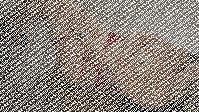 Larisa - Escort lady Bucharest 2