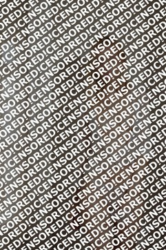 Sophie - Escort lady Berlin 3