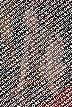 Aisha - Escort lady Vienna 2