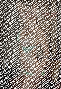 Megan - Escort lady Amsterdam 2