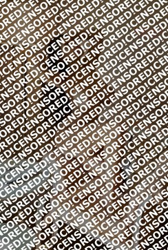 Pamela - Escort lady Amsterdam 3