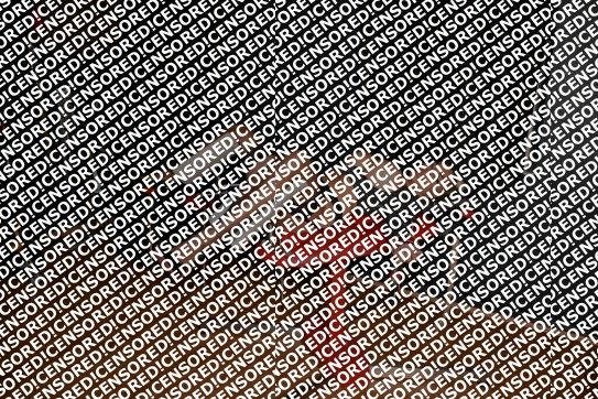 Alexia - Escort lady Berlin 14