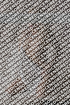 Jane - Escort lady Munich 2