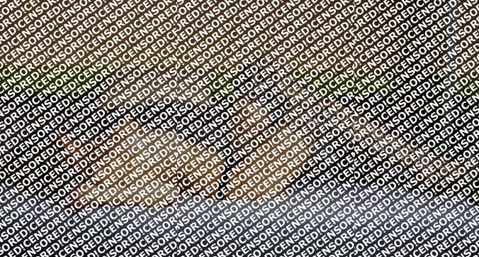 Carla - Escort lady Vienna 3