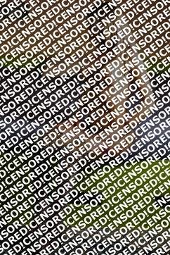 Carla - Escort lady Vienna 4