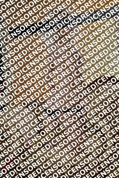 Bella - Escort lady Vienna 3