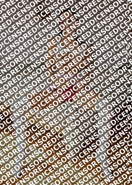 Ashu - Escort lady Barcelona 6