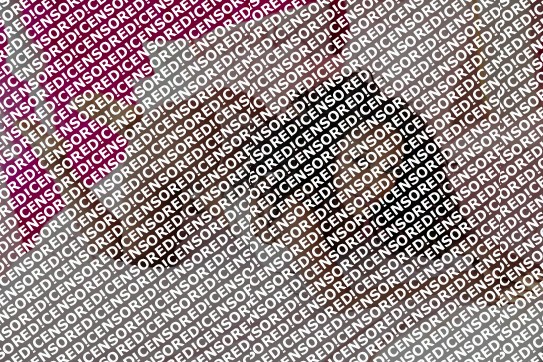 Telma - Escort lady Steyr 2