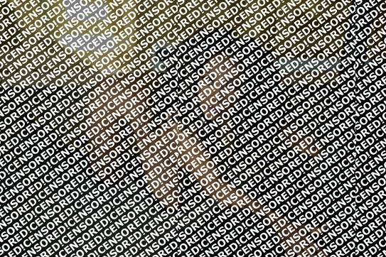 Telma - Escort lady Steyr 4