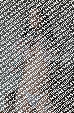 ANTONELLA - Escort lady Barcelona 7