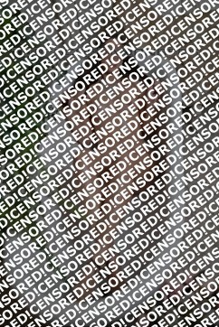 Nina - Escort lady Nuremberg 3