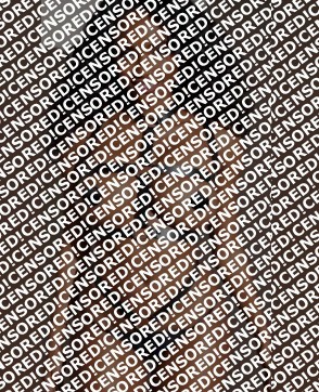 Lotus - Escort lady Phoenix AZ 2