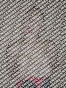 Lady Lucy - Escort trans Worcester GB 10