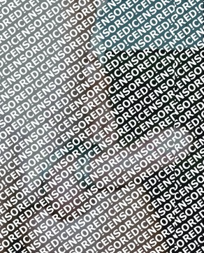 Hengst20cmx6cm - Escort mens Dresden 10