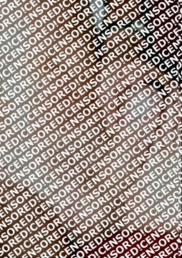 Hengst20cmx6cm - Escort mens Dresden 14