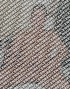 Hengst20cmx6cm - Escort mens Dresden 5