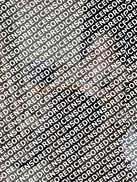 Eva - Escort lady Vienna 4