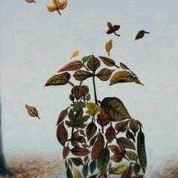 Vicky Escort and massage - Escort mens Hyderabad 2