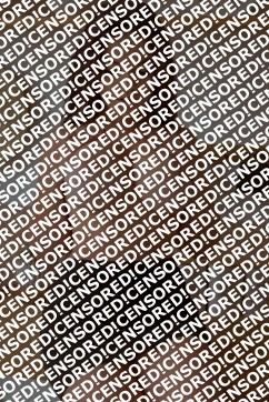 Hailey - Escort lady Amsterdam 2