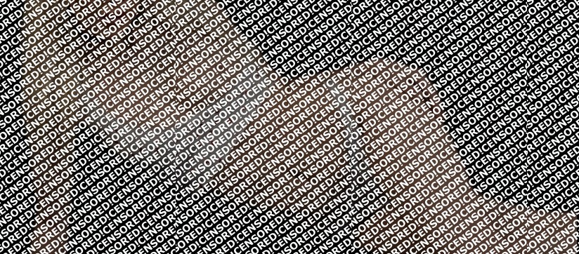 Laura - Escort lady Vienna 4